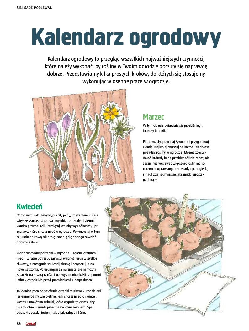 Gazetka promocyjna Jula str. 37